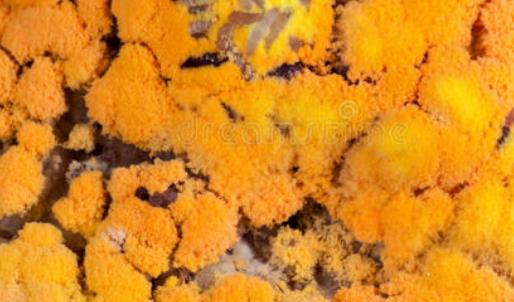 最新最新再次測試更新數據，是否能添加。