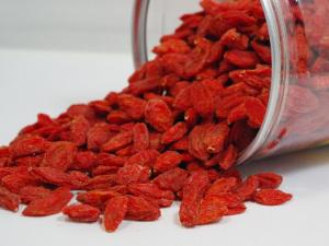 枸杞能提高性功能嗎？枸杞怎么吃壯陽？