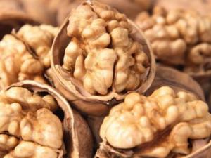 吃什么補腦？如何增強記憶力？9種食物滋補大腦