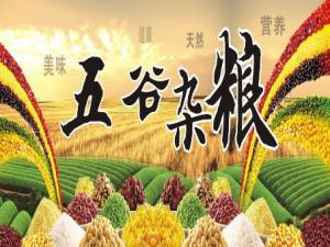 五谷為養：中醫教你怎么吃五谷雜糧最營養