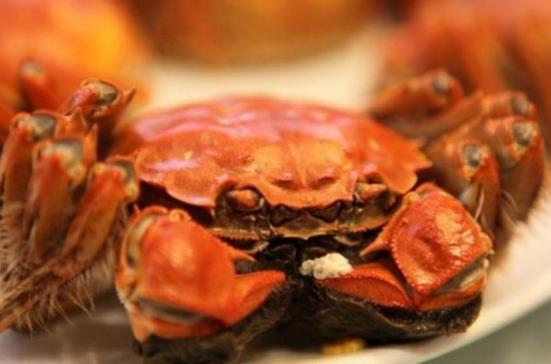 螃蟹的營養(yǎng)價(jià)值-螃蟹的食用禁忌