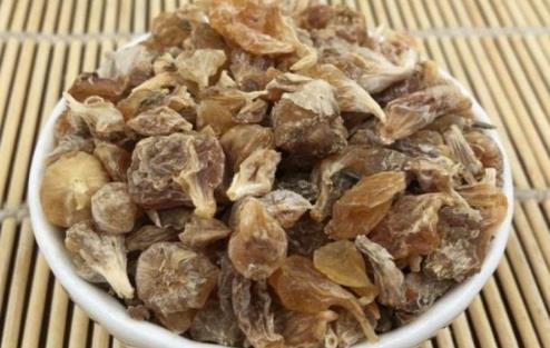 吃薤白需要注意什么?薤白是什么東西?
