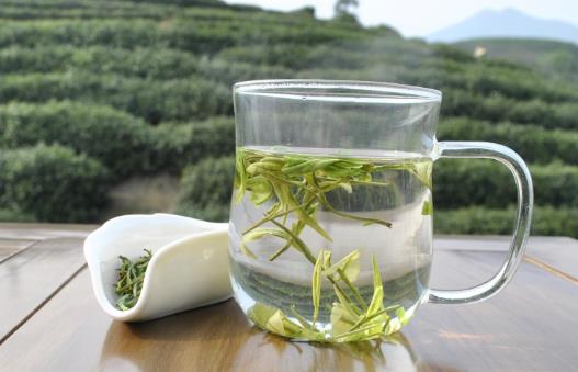綠茶與紅茶有什么區別呢?綠茶與紅茶哪個比較好?