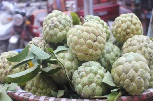 甲狀腺結節的人可以吃釋迦果嗎?吃釋迦果有哪些好處?