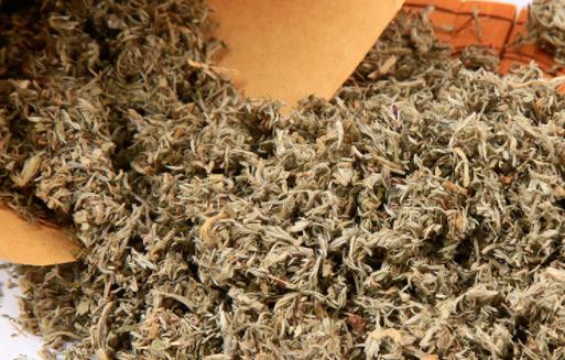 過了清明的白蒿還能吃嗎 現在的白蒿還能吃嗎