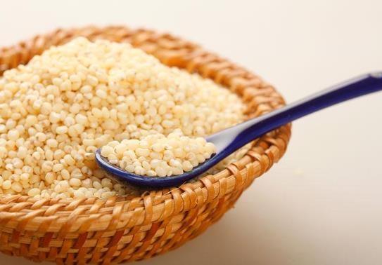 高粱米和大米哪個熱量高?高粱米要泡多久才能煮飯?