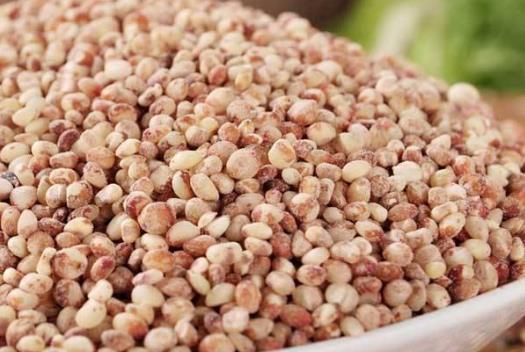 高粱米和大米哪個熱量高?高粱米要泡多久才能煮飯?