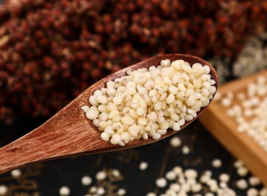 高粱米和大米哪個熱量高?高粱米要泡多久才能煮飯?