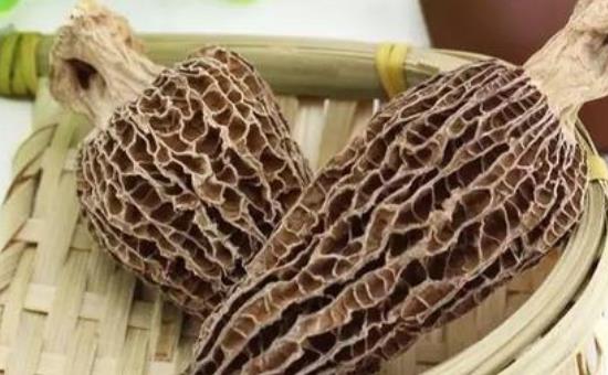 哪些人不宜吃羊肚菌?羊肚菌吃多了會怎么樣?