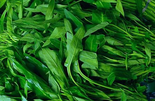 吃藥期間可以吃空心菜嗎?吃空心菜有哪些好處?