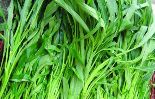 吃空心菜會影響鈣的吸收嗎?空心菜炒出來為什么會發黑?