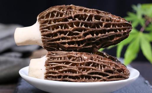 經期可以吃羊肚菌嗎?羊肚菌可以經常吃嗎?