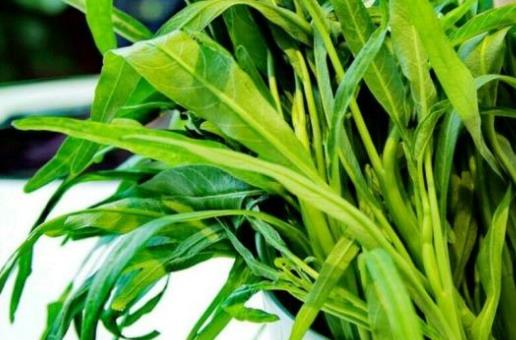 經(jīng)期可以吃空心菜嗎?孕婦可以吃空心菜嗎?