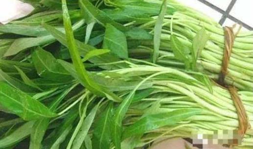 經(jīng)期可以吃空心菜嗎?孕婦可以吃空心菜嗎?