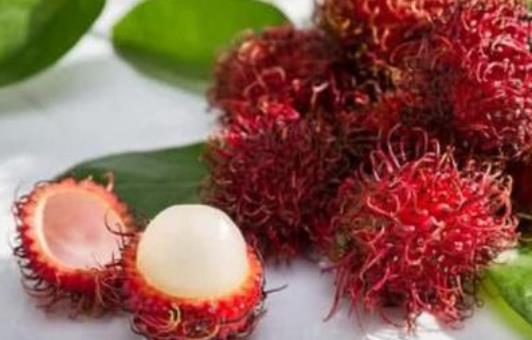 糖尿病患者可以吃紅毛丹嗎?紅毛丹吃多了會怎么樣?