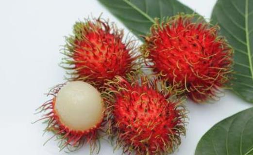肝硬化可以吃紅毛丹嗎?紅毛丹怎么去核皮?