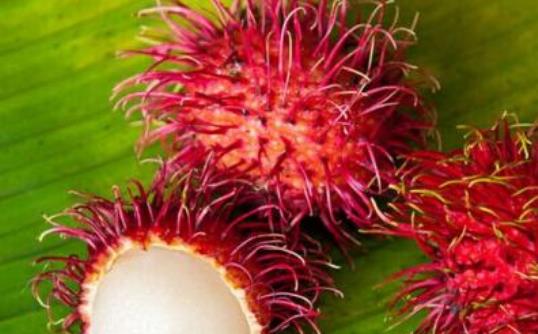 孕婦可以吃紅毛丹嗎?孕婦吃紅毛丹有哪些好處?