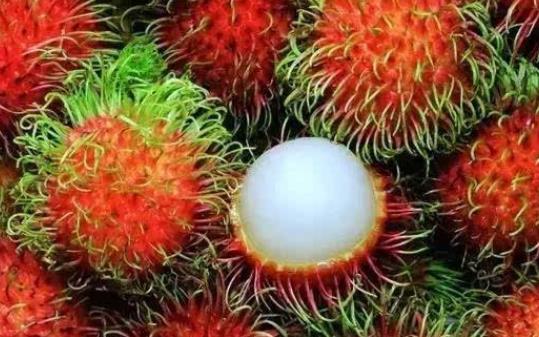 紅毛丹有哪些吃法?怎么選購紅毛丹?