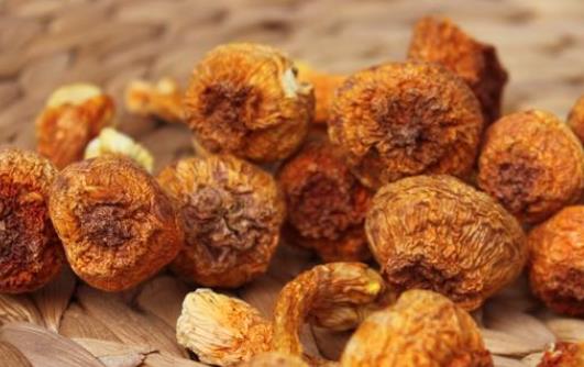 痛風患者可以吃松茸嗎?吃松茸有哪些好處?