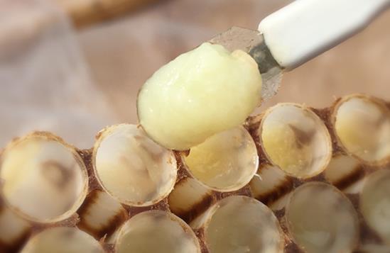 女人喝蜂王漿的好處 女性經常吃蜂王胎的害處