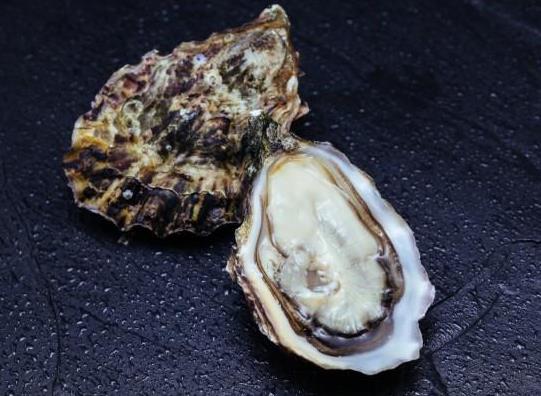 牡蠣與生蠔如何區別?海蠣子跟生蠔是一個品種嗎?