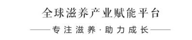 燕窩水晶粽價格多少?燕窩水晶粽子的做法?大洲新燕燕窩水晶粽子品牌好嗎?