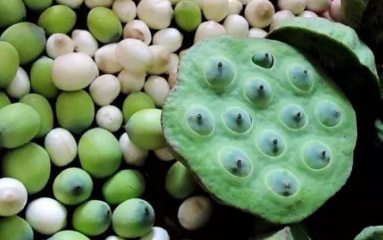 經(jīng)期可以吃蓮子嗎?蓮子和什么搭配最好?