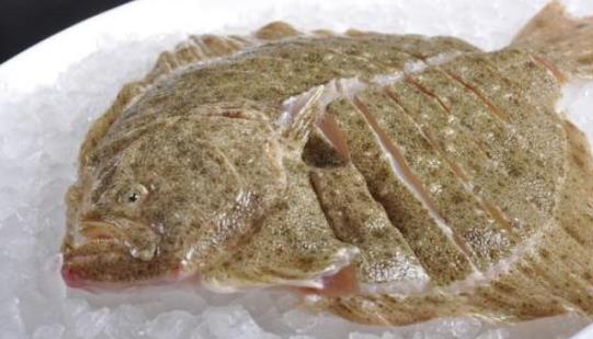 多寶魚有毒嗎?多寶魚吃多了有危害嗎?