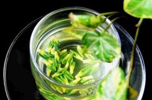 蓮子為什么要去芯?蓮子芯泡水喝有什么功效?