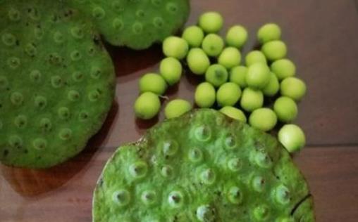 糖尿病患者可以吃蓮子嗎?吃蓮子有哪些好處?