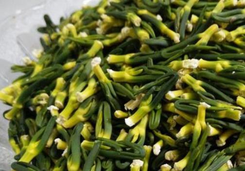 新鮮的蓮子芯可以吃嗎?吃蓮子芯需要注意什么?