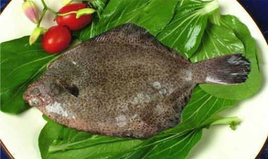 多寶魚適合老年人吃嗎?孕婦可以吃多寶魚嗎?