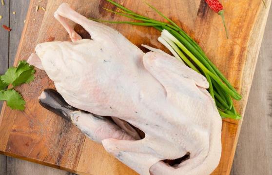 鴨肉屬不屬于發物?鴨肉不宜和什么一起吃?