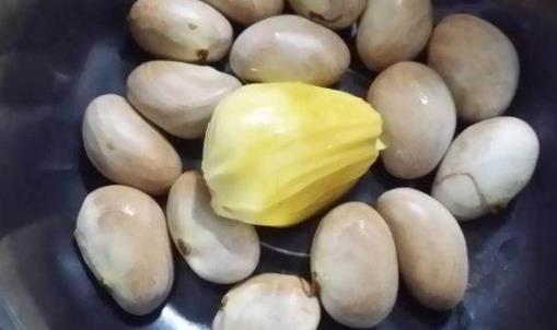 菠蘿蜜核怎樣煮粥 菠蘿蜜核能多吃嗎
