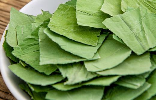 荷葉茶可以治便秘嗎 荷葉茶能天天喝嗎