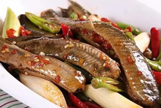 泥鰍可以生吃嗎?泥鰍有寄生蟲嗎?