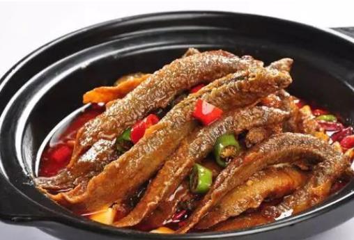 泥鰍可以生吃嗎?泥鰍有寄生蟲嗎?