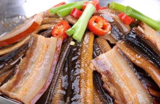 孕婦可以吃黃鱔嗎?黃鱔和泥鰍有什么區(qū)別?