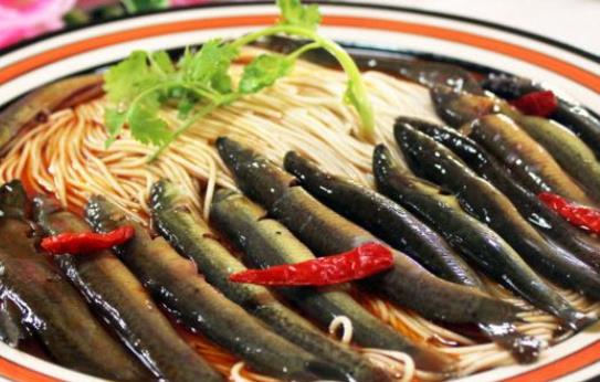泥鰍可以生吃嗎?泥鰍有寄生蟲嗎?
