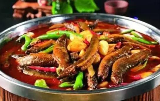 泥鰍死了還可以吃嗎?吃死了的泥鰍有哪些危害?