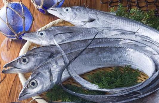 膽固醇高可以吃帶魚嗎?帶魚為什么沒有活的?