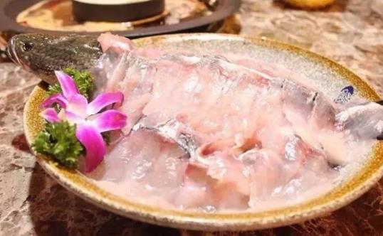 咳嗽了可以吃黑魚嗎?黑魚有哪些營養成分?