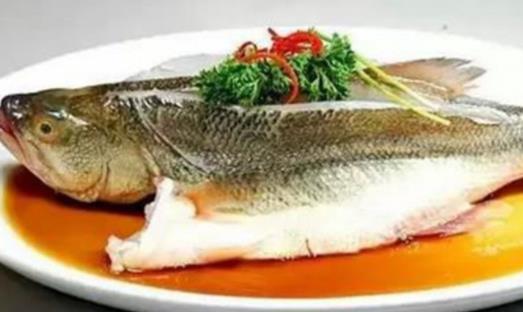 痛風患者可以吃鱸魚嗎?鱸魚不宜和什么一起吃?