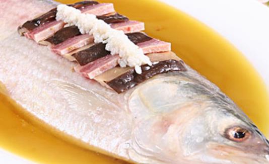 孕婦可以吃鰣魚嗎?吃鰣魚有哪些好處?