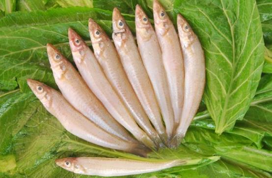 小孩可以吃沙尖魚嗎?哪些人不宜吃沙尖魚?