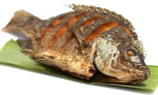孕婦可以吃羅非魚嗎?吃羅非魚有危害嗎?
