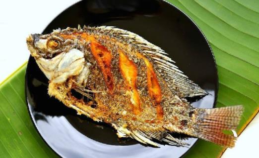 羅非魚可以吃生的嗎?什么樣的羅非魚不能吃?