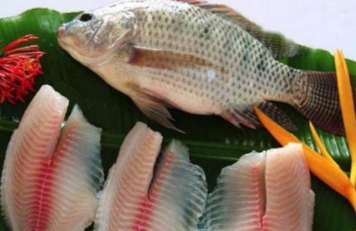 孕婦可以吃羅非魚嗎?吃羅非魚有危害嗎?