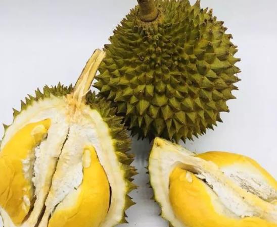 怎么判斷貓山王榴蓮熟沒熟?貓山王榴蓮多少錢一斤