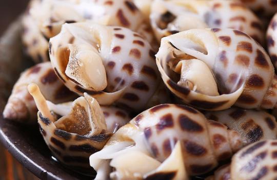 脯乳期可以吃香螺嗎?香螺有哪些功效?